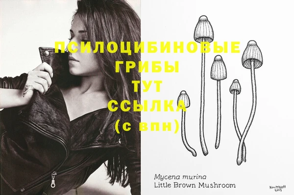 каннабис Баксан